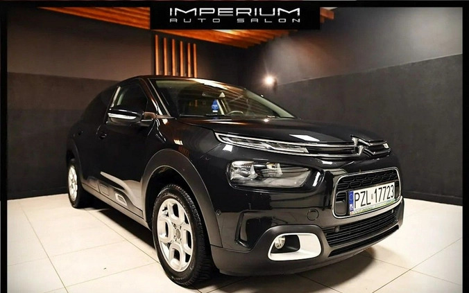 Citroen C4 Cactus cena 59900 przebieg: 15000, rok produkcji 2021 z Tczew małe 277